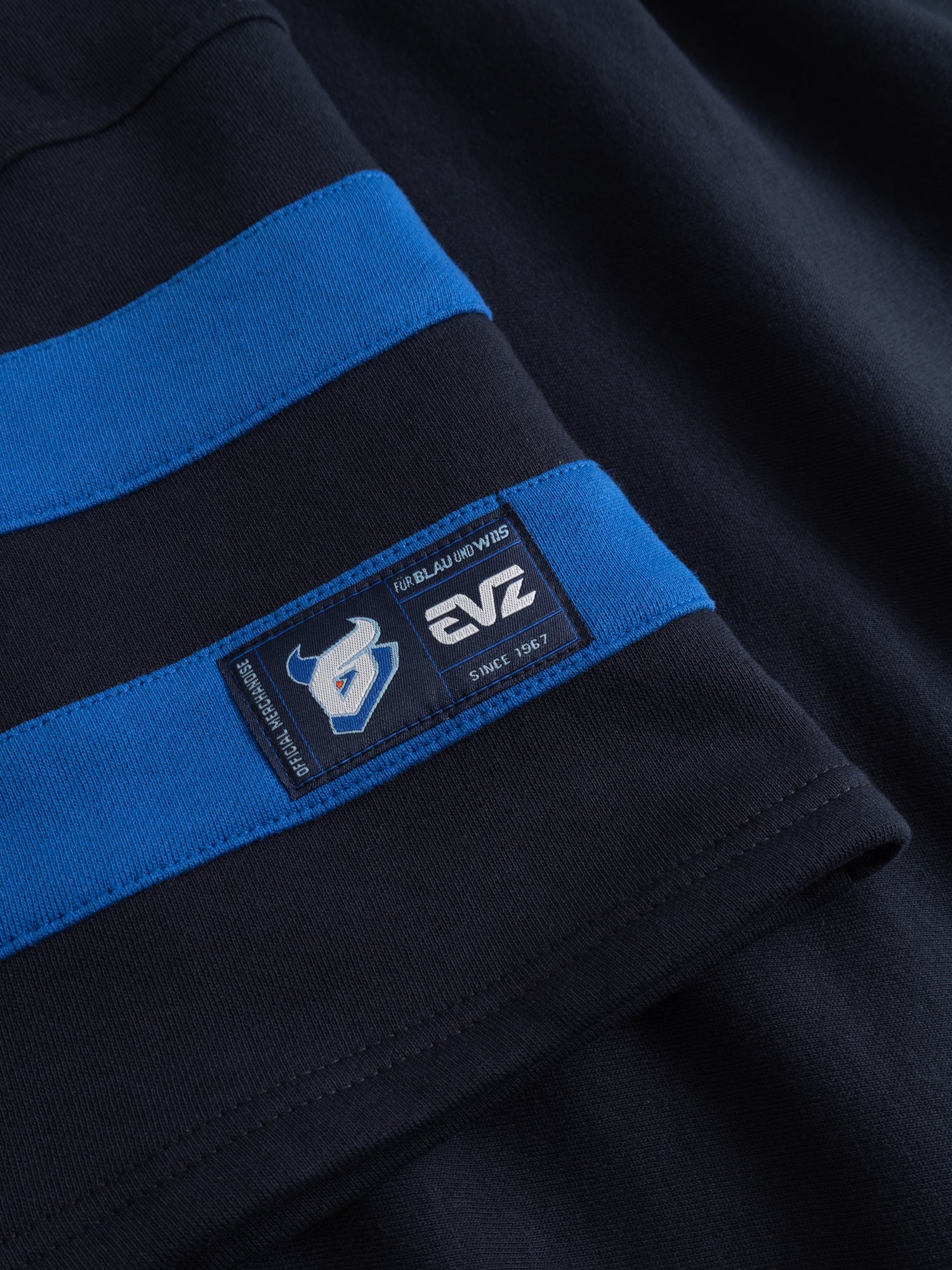 PO51226_EV_Zug_41